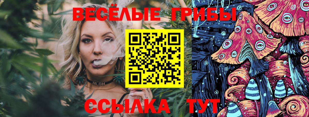 Воронеж  Галлюциногенные грибы Magic Shrooms  купить  сайты  Вход с VPN 