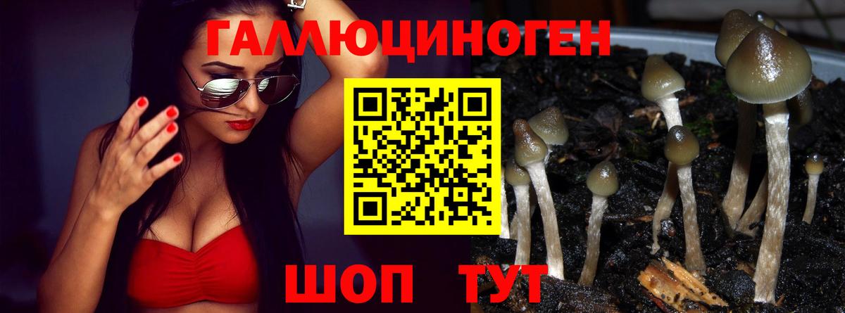 Галлюциногенные грибы прущие грибы Воронеж